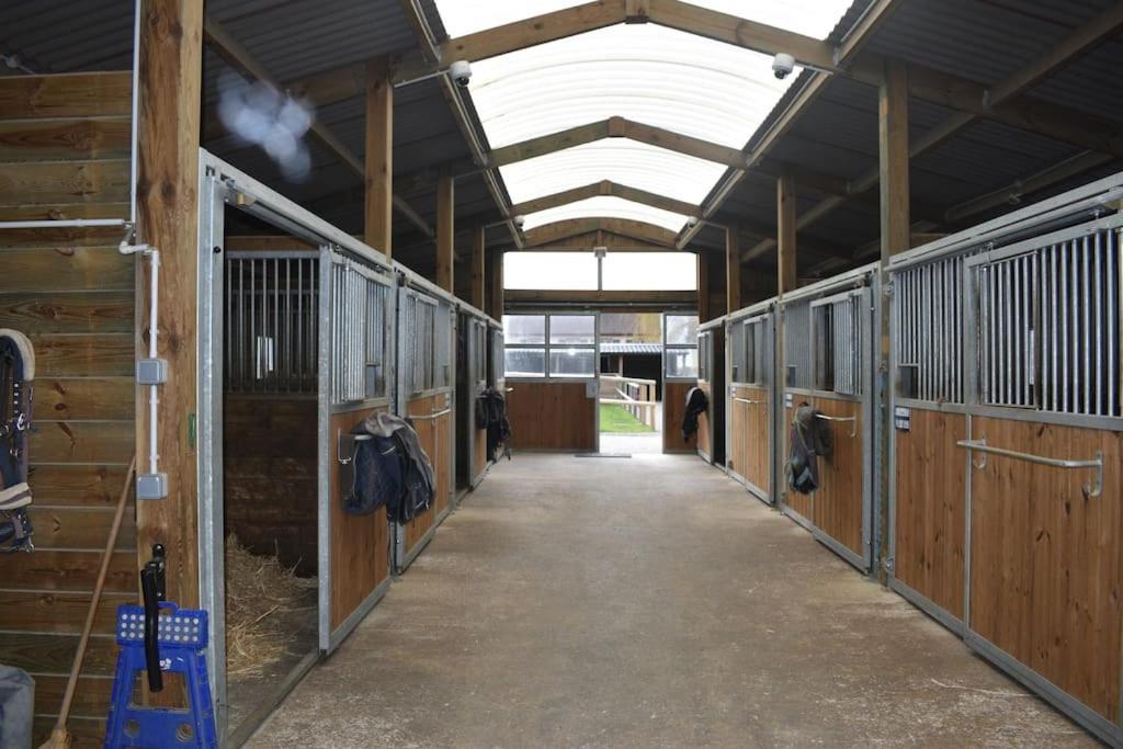 Haras De Connincthun Villa Beuvrequen Exterior photo